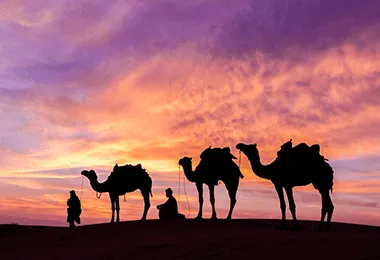 morning desert safari